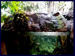 Universeum 37